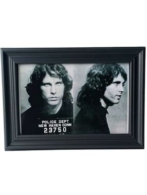 The Doors Jim Morrison mugshot retro 60s 70s vintage Rock Hippie Musician Icon